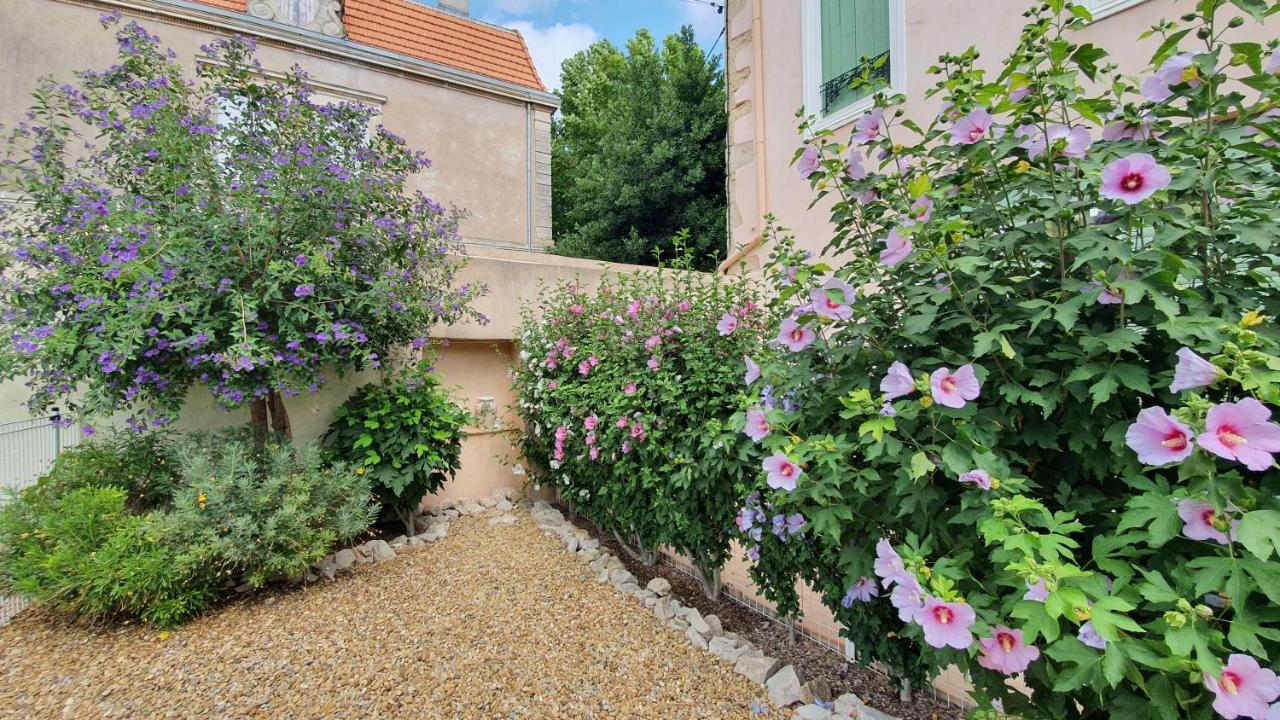 Gites "Tout Au Sud De La France" Pomérols 外观 照片
